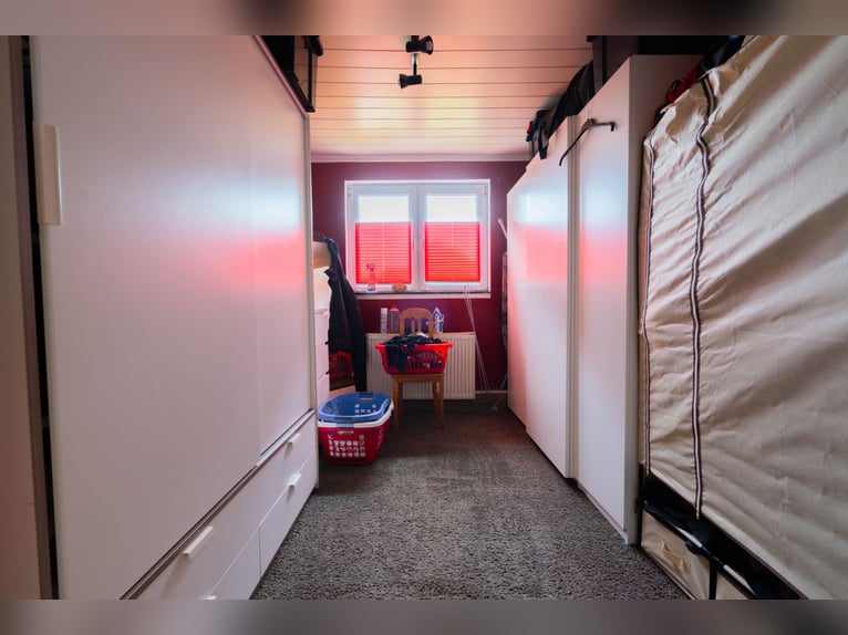 Wspaniały gospodarstwo jeździeckie o powierzchni około 7,5 ha, z halą ujeżdżeniową, lonżownią, place