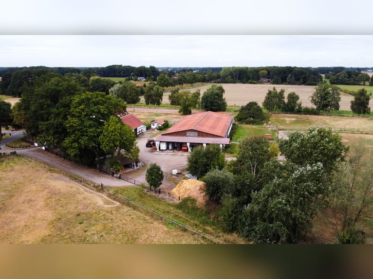 Wspaniały gospodarstwo jeździeckie o powierzchni około 7,5 ha, z halą ujeżdżeniową, lonżownią, place