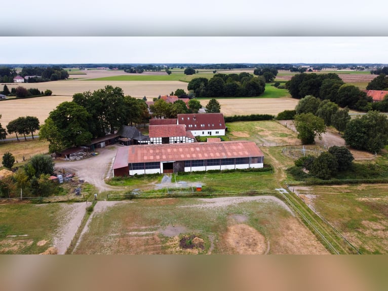 Wspaniały gospodarstwo jeździeckie o powierzchni około 7,5 ha, z halą ujeżdżeniową, lonżownią, place