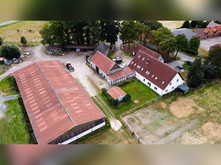 Wspaniały gospodarstwo jeździeckie o powierzchni około 7,5 ha, z halą ujeżdżeniową, lonżownią, place