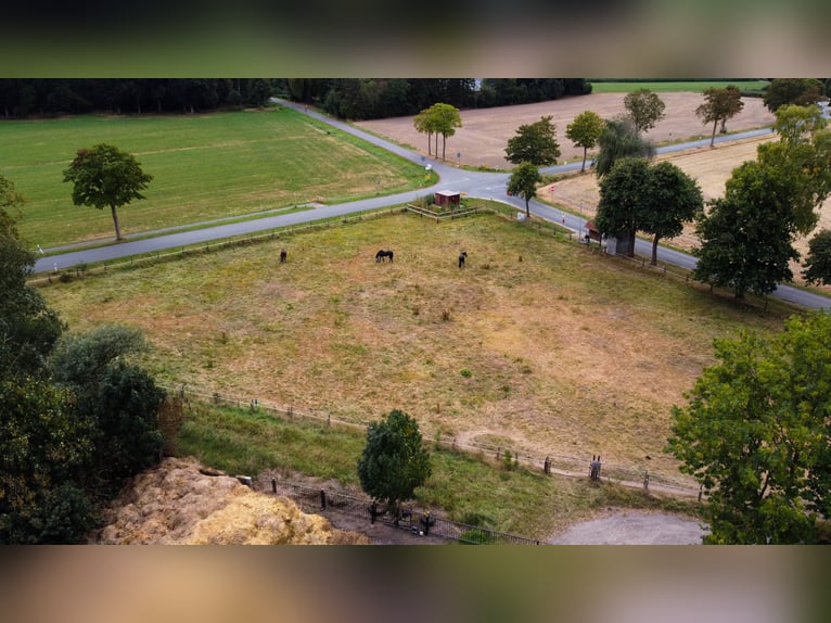 Wspaniały gospodarstwo jeździeckie o powierzchni około 7,5 ha, z halą ujeżdżeniową, lonżownią, place