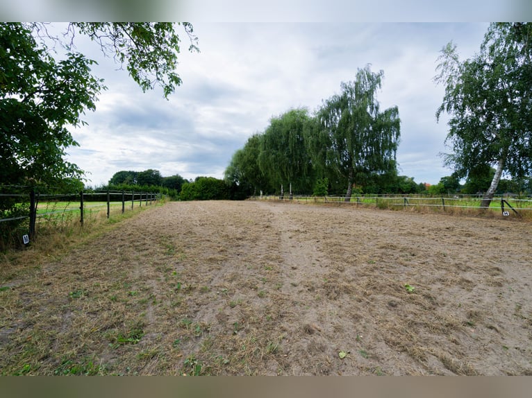 Wspaniały gospodarstwo jeździeckie o powierzchni około 7,5 ha, z halą ujeżdżeniową, lonżownią, place