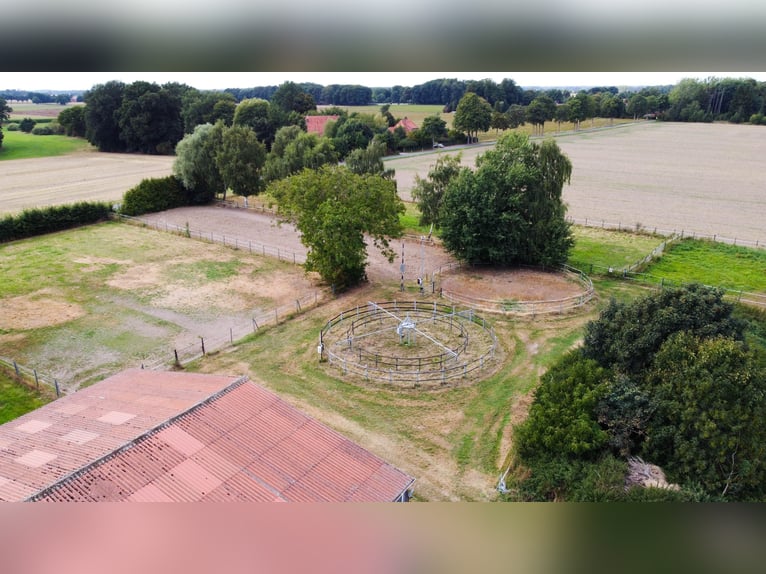 Wspaniały gospodarstwo jeździeckie o powierzchni około 7,5 ha, z halą ujeżdżeniową, lonżownią, place