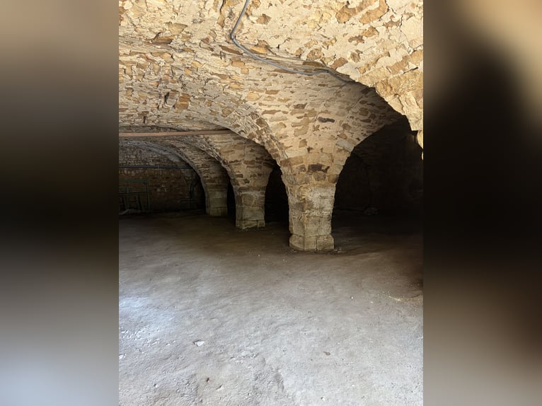 Wyjątkowa posiadłość jeździecka z około 34 hektarami otwartych pastwisk oraz panoramicznym widokiem