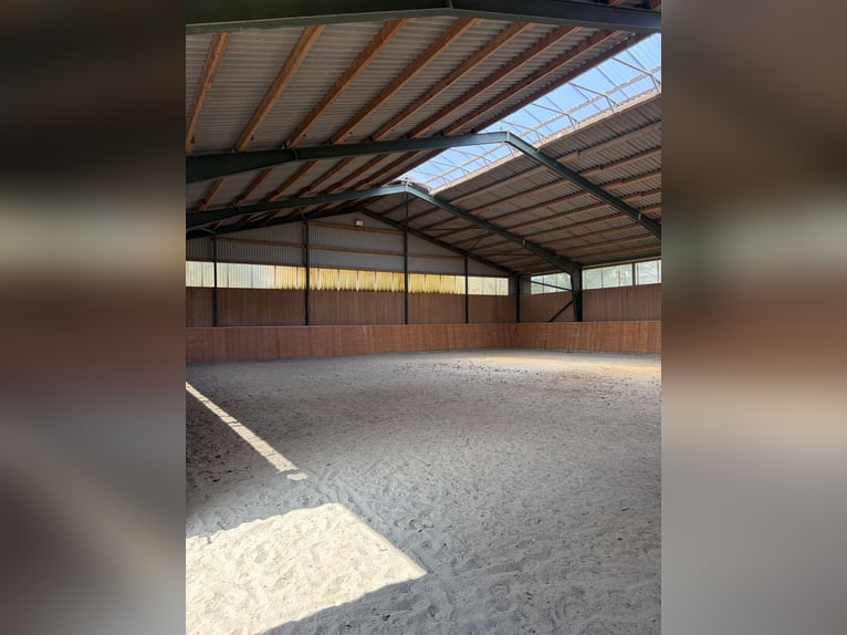 Wyjątkowa posiadłość jeździecka z około 34 hektarami otwartych pastwisk oraz panoramicznym widokiem