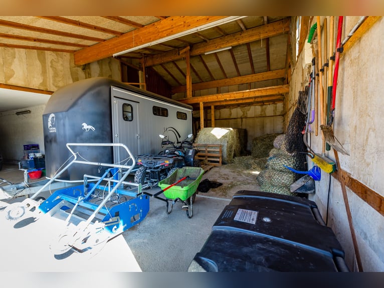 Wymariony dom wiejski z rozbudowanym zapleczem dla koni w Zeilarn (wschodnio od Monachium), bez prow