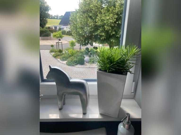 Wymarzona nieruchomość koniarska z domem o powierzchni 210 m²