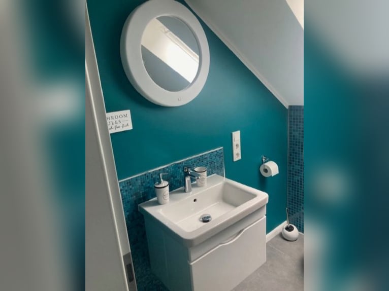 Wymarzona nieruchomość koniarska z domem o powierzchni 210 m²