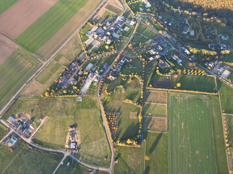 Wymarzone działka o powierzchni 2 075 m² dla koni i ludzi z prawem zabudowy stajni w Lonnig/RLP w po