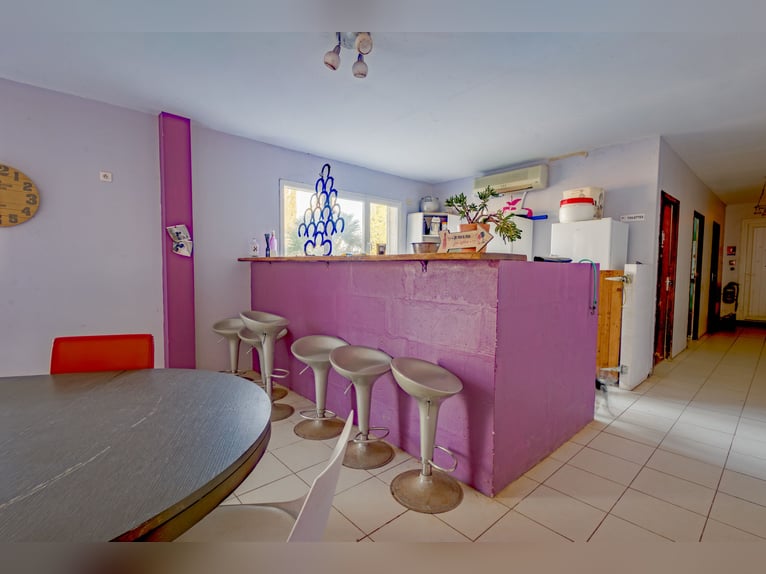 Wysoka rentowność stajni – działalność tranzytowa