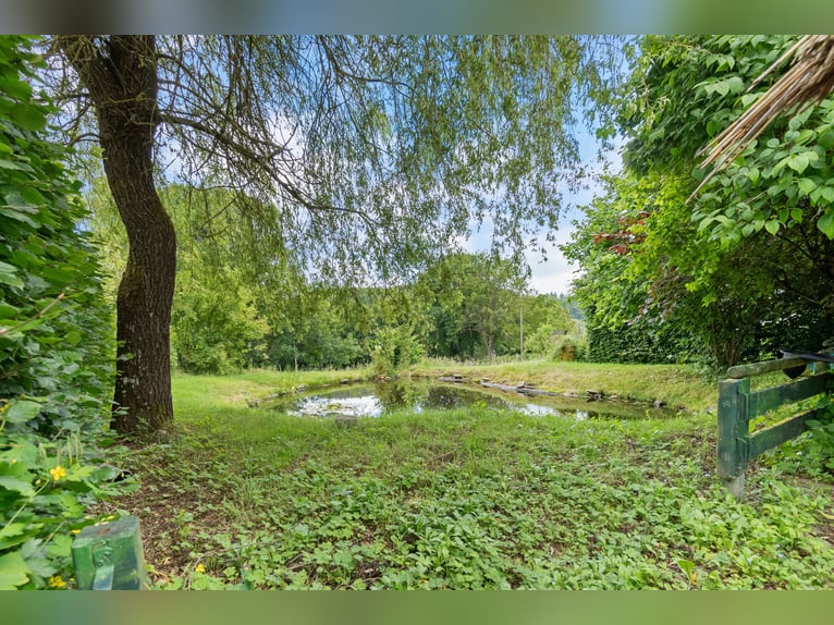 Zeitreise im Grünen: Historisches Bauernhaus mit Reetdach und kleinem Pferdestall in Monschau-Widdau