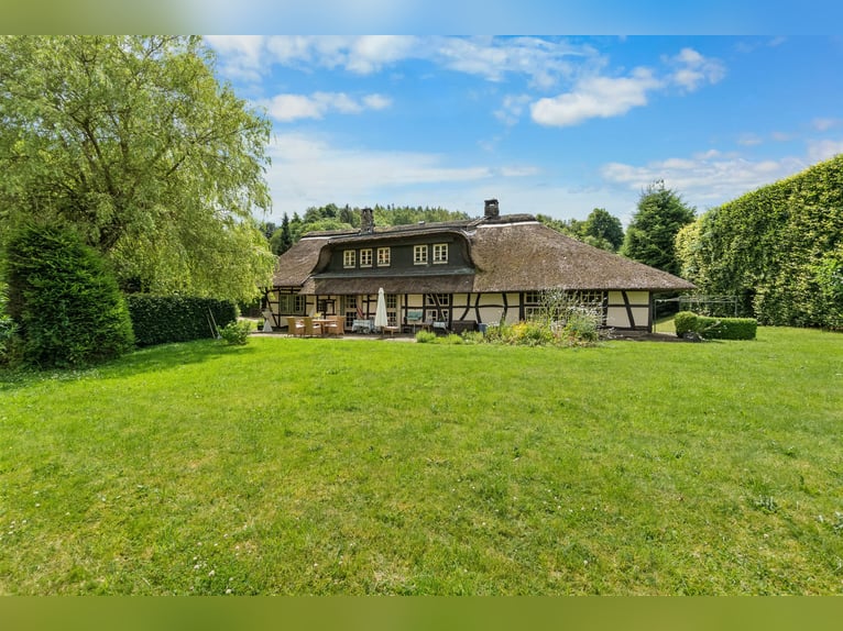 Zeitreise im Grünen: Historisches Bauernhaus mit Reetdach und kleinem Pferdestall in Monschau-Widdau