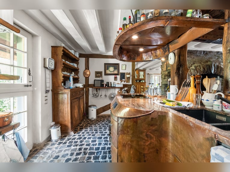 Zeitreise im Grünen: Historisches Bauernhaus mit Reetdach und kleinem Pferdestall in Monschau-Widdau