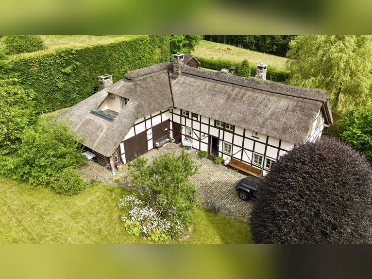 Zeitreise im Grünen: Historisches Bauernhaus mit Reetdach und kleinem Pferdestall in Monschau-Widdau