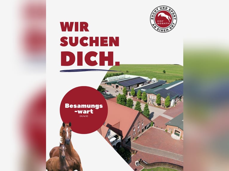 Besamungswarte aufgepasst: Team Sosath sucht Unterstützung für die Hengststation