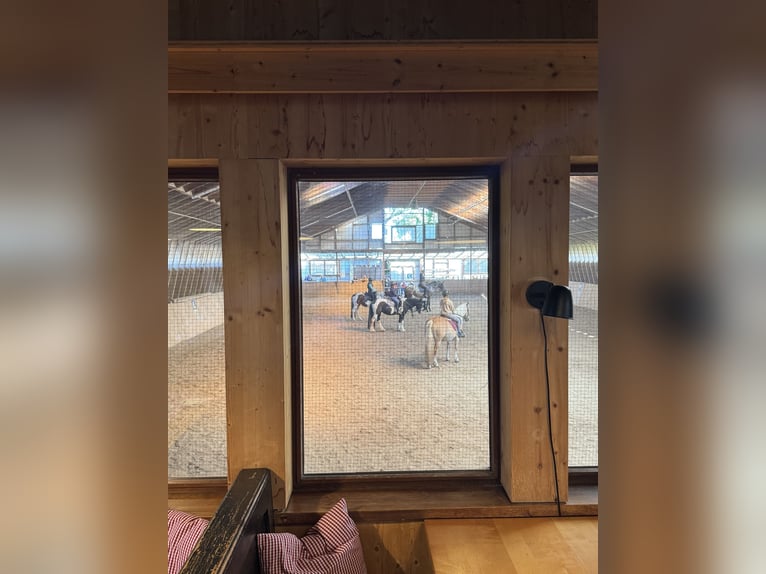 Poszukujemy kierownika stajni przy Hotelu Reiterhof Altmühlsee