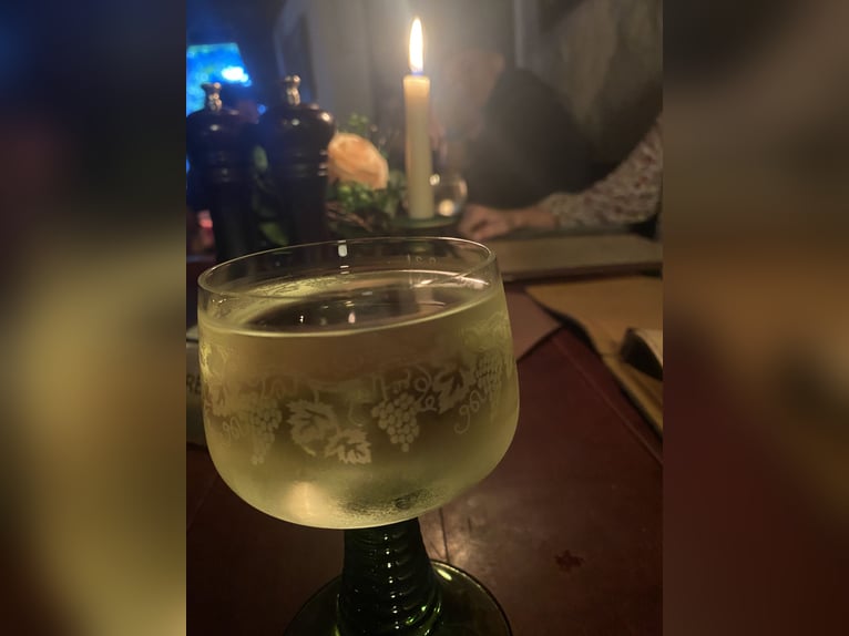 Poszukujemy kierownika stajni przy Hotelu Reiterhof Altmühlsee