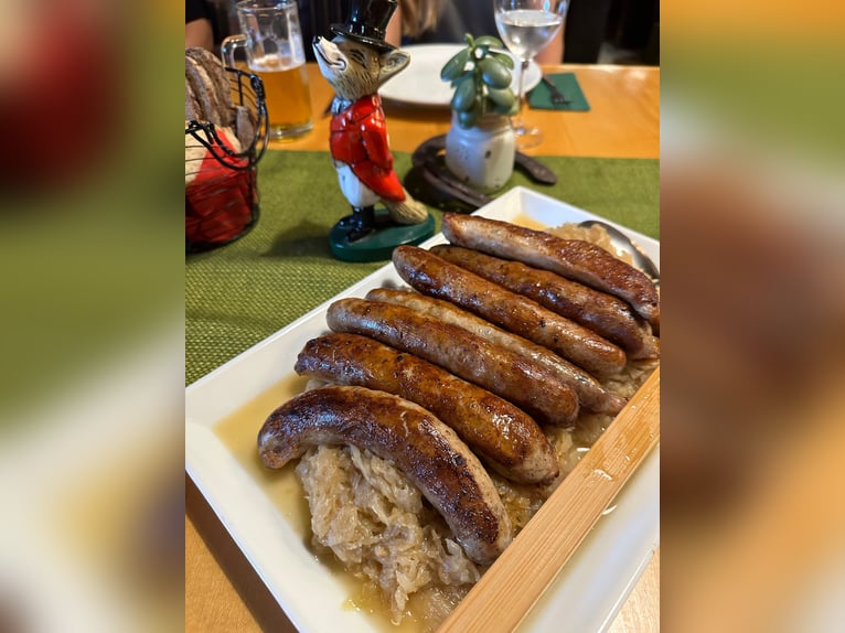 Poszukujemy kierownika stajni przy Hotelu Reiterhof Altmühlsee