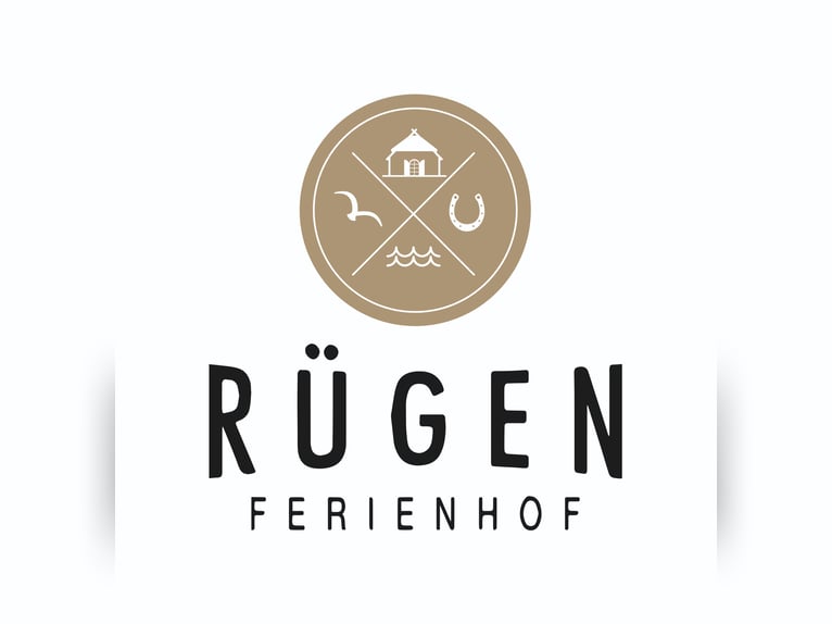 Reitlehrer/in gesucht!