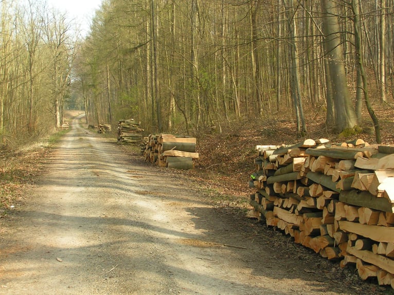 Landwirtschaftlicher Mitarbeiter mit guter Qualifikation in Teil- oder Vollzeit