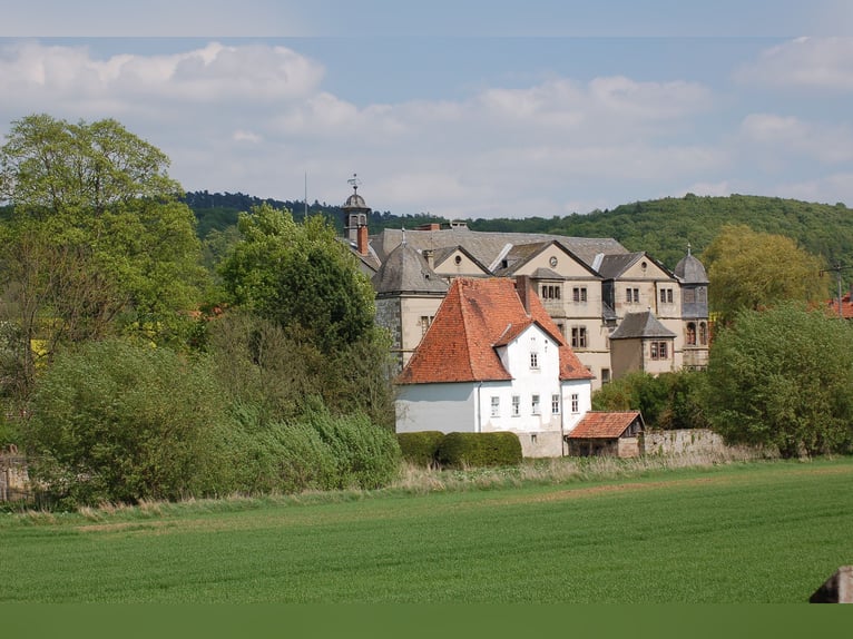 Landwirtschaftlicher Mitarbeiter mit guter Qualifikation in Teil- oder Vollzeit