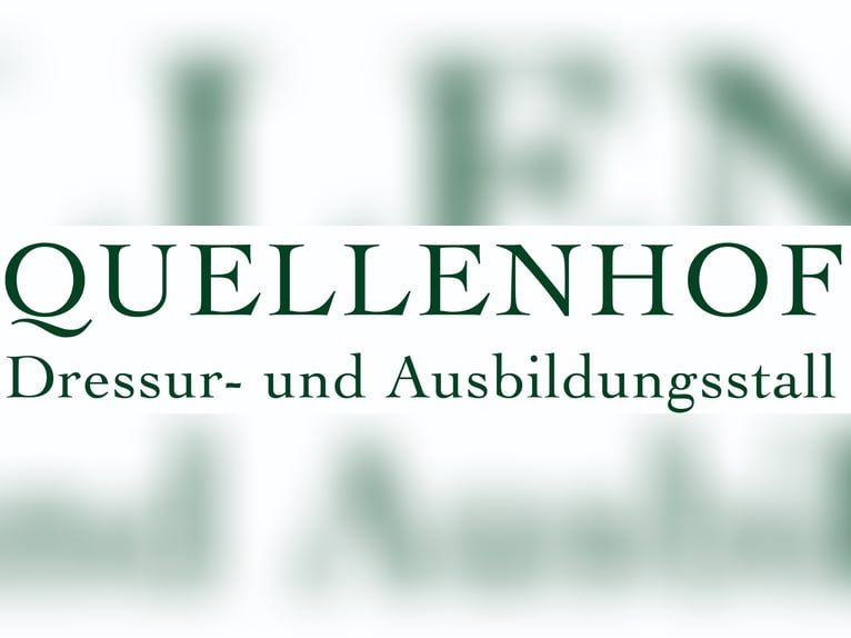 Stallmitarbeiter/ Pfleger für kleinen privaten Sportpferdestall gesucht