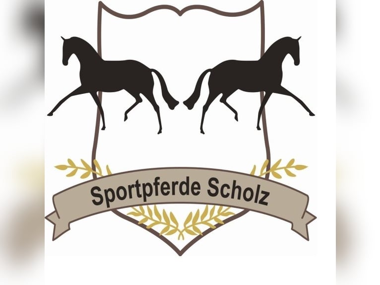 Vollzeitstelle in unserem jungen Team