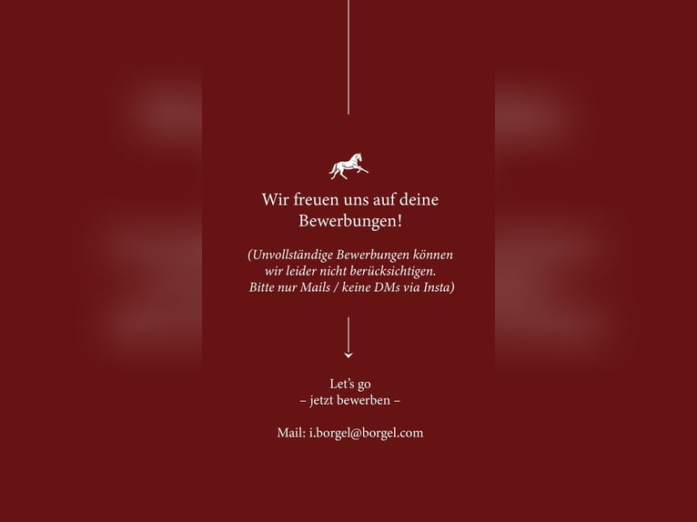 Pferdepfleger/in / Stallhilfe / Reiter/in gesucht 