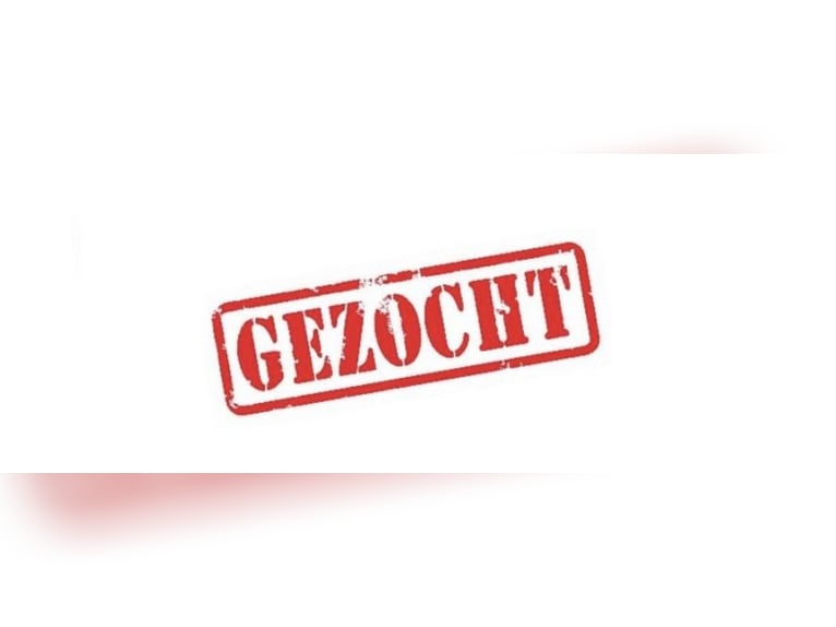 POŚREDNIO: SAMODZIELNY JEŹDZIEC