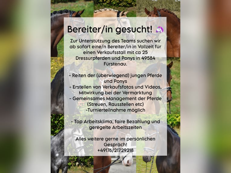 Poszukujemy instruktora jeździectwa (m/k/d) na pełny etat!