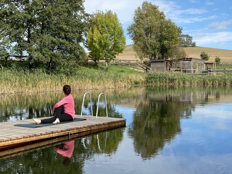 Assistent(in) der Geschäftsführung: Wohnen auf Reitanlage und Arbeiten Ferienwohnungen, TinyHouses