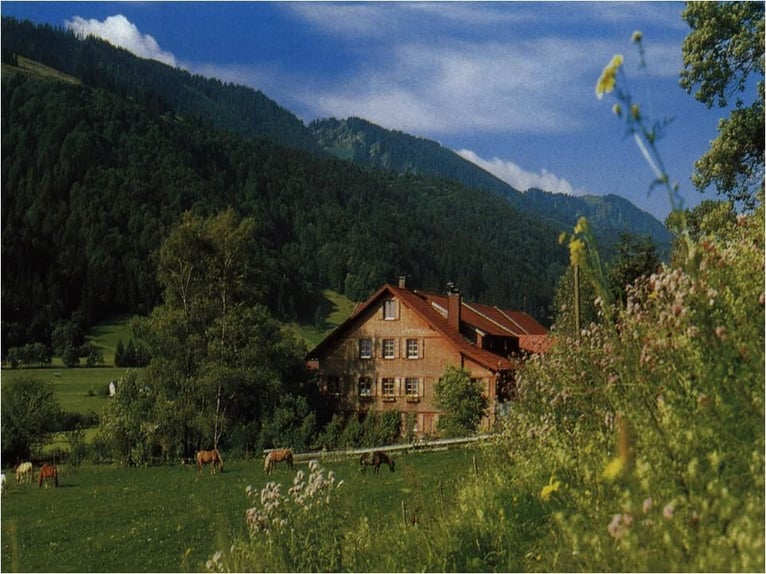 Jahrespraktikum auf Therapie und Erlebnisbauernhof ab Sommer 2026