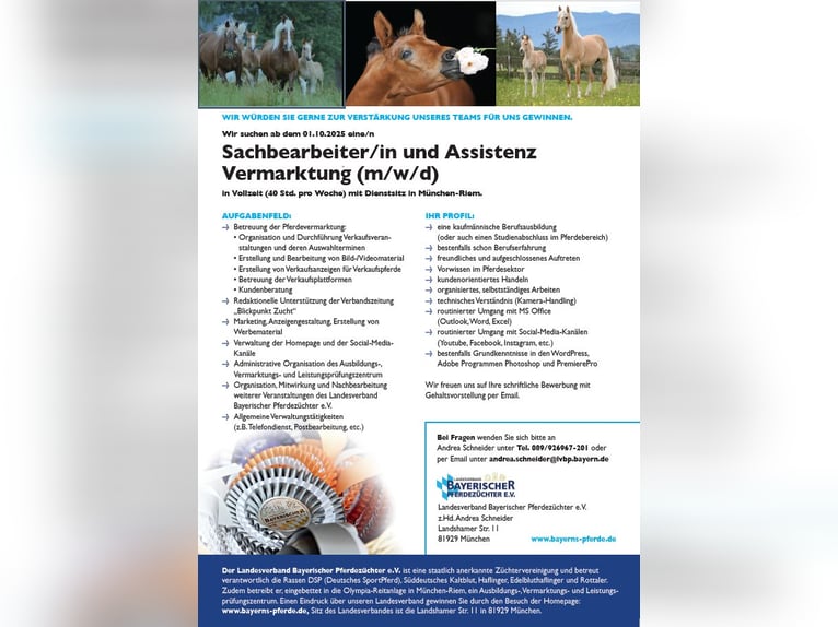 Sachbearbeiter/in und Assistenz Vermarktung