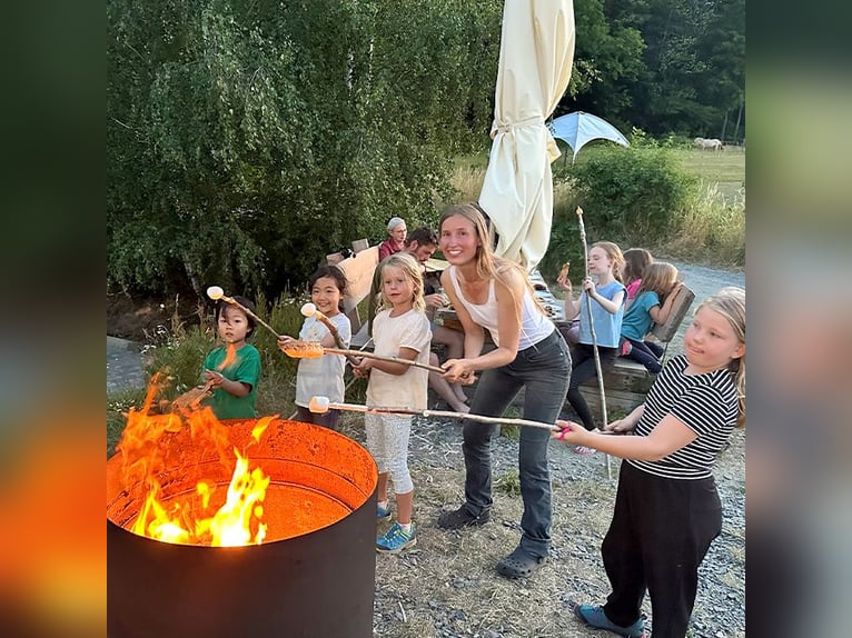 Starte Deinen Ferienjob am Fjordgestüt!