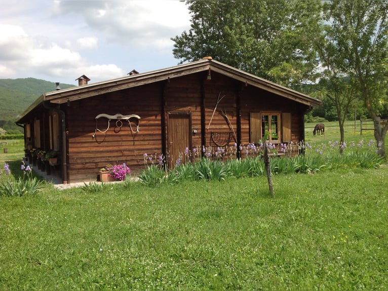 Doświadczenie za granicą we włoskiej Toskanii