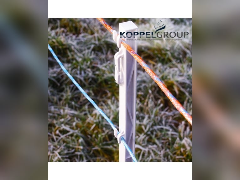 500 m, 6 mm Maxalon pastuchowa linka ogrodzeniowa PREMIUM, pomarańczowa