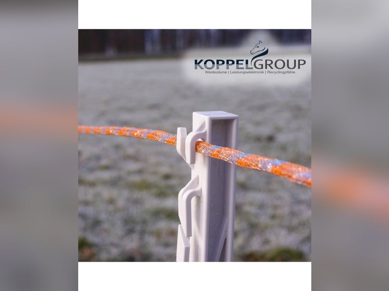 500 m, 6 mm Maxalon pastuchowa linka ogrodzeniowa PREMIUM, pomarańczowa