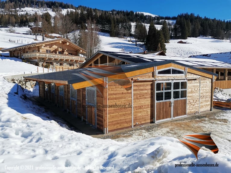 AMERICAN BARN - TOP Stallbau, Pferdestall bauen, Außenboxen und Pferdeboxen, Offenstall, Weidehütte