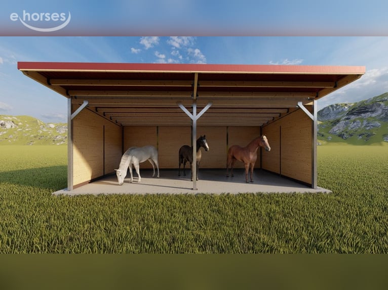 Kupno stajni wolnowybiegowej dla koni – budowa stajni otwartej, poszukiwanie wiaty pastwiskowej, zam