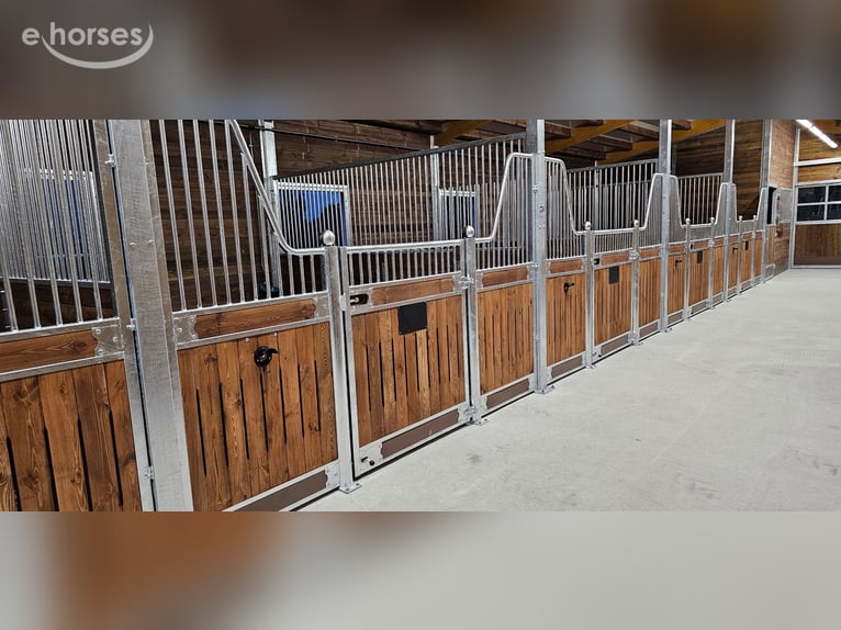 Boksy dla koni na sprzedaż – fronty boksów, ścianki działowe i boksy wewnętrzne dla koni