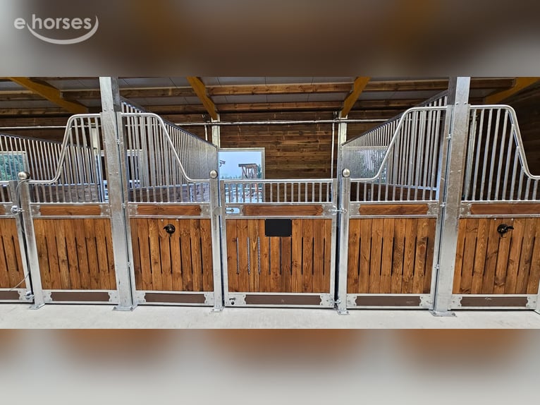 Fronty boksów i systemy boksowe | Boksy dla koni na sprzedaż – boksy wewnętrzne dla koni