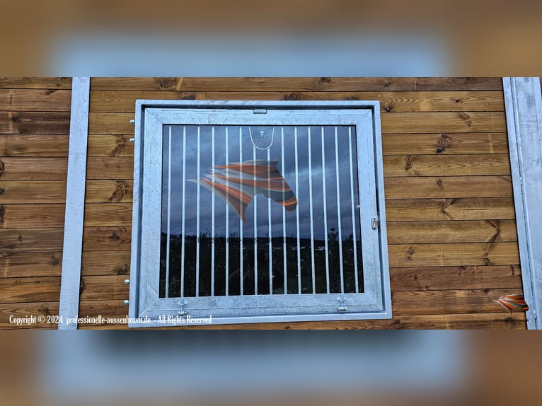 Stalltüren kaufen - Boxentüren & Paddocktüren in höchster Qualität, auch als Schiebetüren