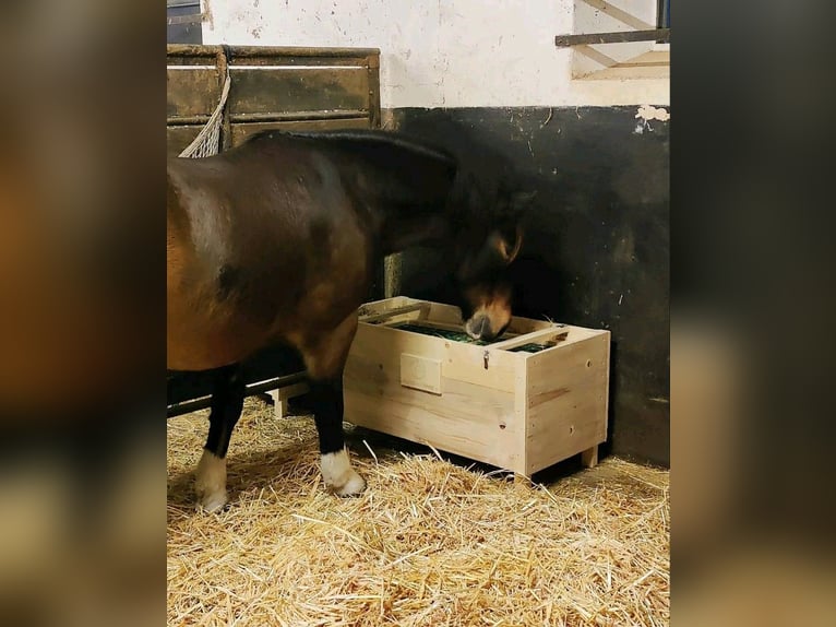 Heubox Heukiste Slowfeeder Neu