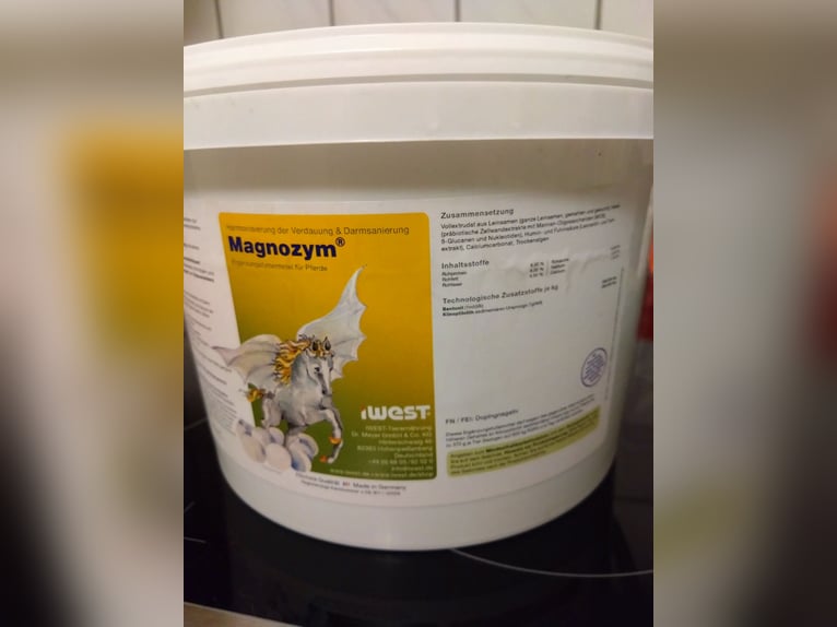 iwest Magnozym – wspomaganie harmonizacji fizjologicznego trawienia oraz wsparcie regeneracji jelit