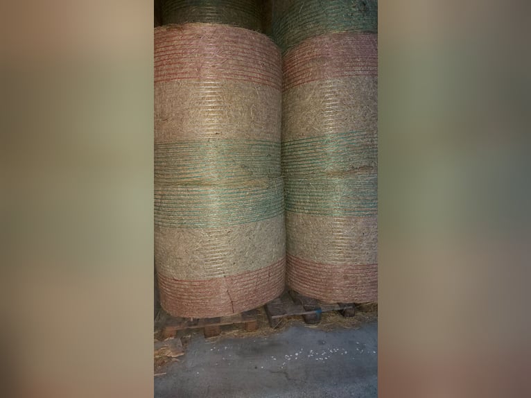 Bio koniczyna i siano z traw z ekologicznych upraw