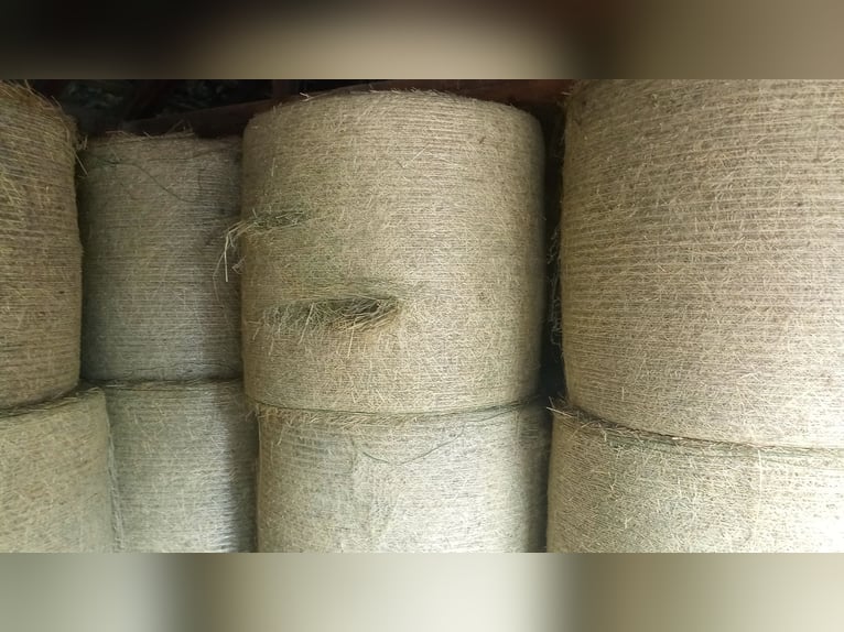 Siano rolki, siano ekologiczne, siano z łąki, ekologiczne bele, siano z pastwiska