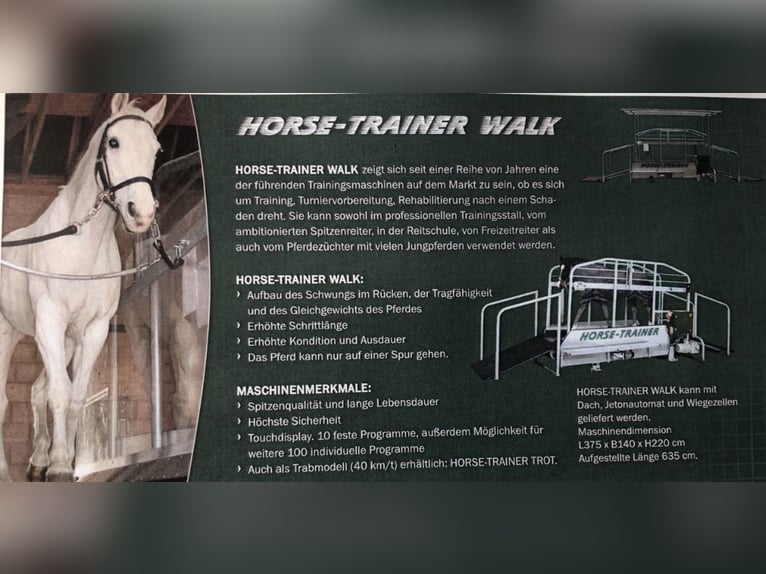 Horse-Trainer Walk (Laufband)