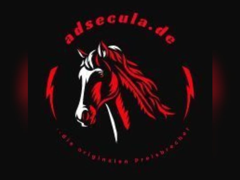 Oryginalne maty stajenne EVA, 44 mm! Bezpośrednio od importera, najlepsza cena w Niemczech i Austrii