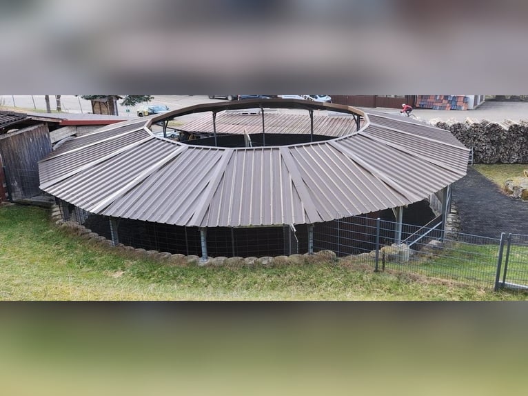 Pferde-Führanlage, für 4 Pferde