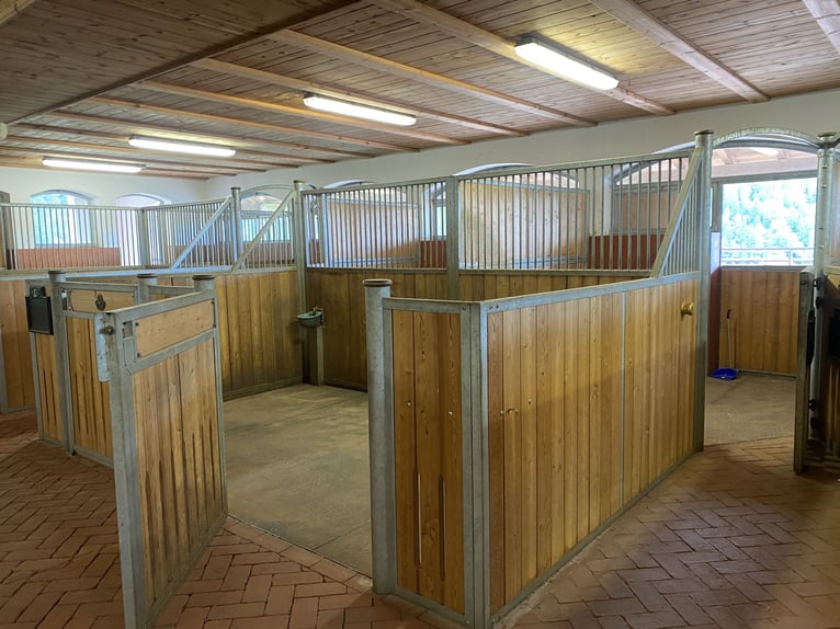Sprzedam kompletną stajnię RÖWER & RÜB (12 boksów) + solarium dla koni